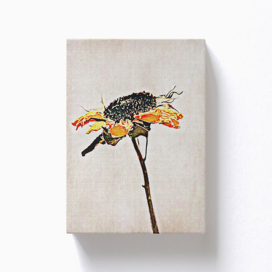 Dried Out Flower - Canvas Wraps