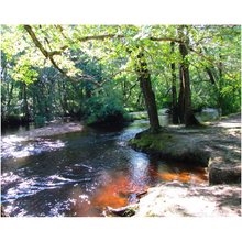 Load image into Gallery viewer, Nature&#39;s Stream - Professional Prints
