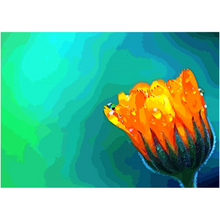 Load image into Gallery viewer, Flower With Waterdrops - Professional Prints
