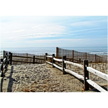 Load image into Gallery viewer, Beach Path - Professional Prints
