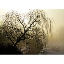 Load image into Gallery viewer, The Dark Mist - Professional Prints
