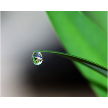 Load image into Gallery viewer, Waterdrop - Professional Prints
