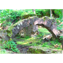 Load image into Gallery viewer, Nature Brick Arch - Professional Prints
