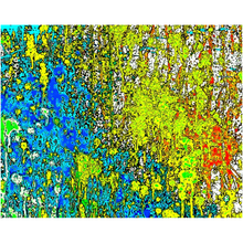 Load image into Gallery viewer, Paint Splatter - Professional Prints
