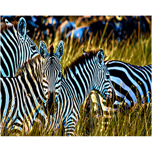 Zebras In The Wild - Professional Prints