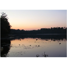 Load image into Gallery viewer, Misty Lake Sunset - Professional Prints
