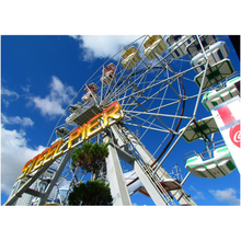 Load image into Gallery viewer, Steel Pier Amusements - Professional Prints
