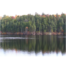 Load image into Gallery viewer, Lake Tree Line - Professional Prints
