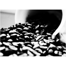 Load image into Gallery viewer, Spilled Coffee Beans - Professional Prints
