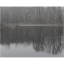 Load image into Gallery viewer, Winter Lake Ducks - Professional Prints
