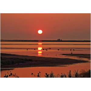 Orange Sunrise Over The Marsh - Professional Prints