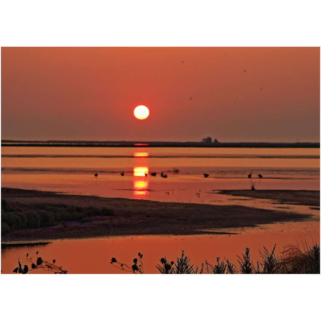 Orange Sunrise Over The Marsh - Professional Prints