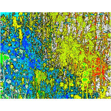 Load image into Gallery viewer, Paint Splatter - Professional Prints
