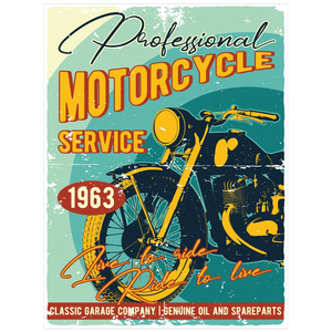 Professional Motorcycle Services - Posters