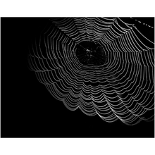 Load image into Gallery viewer, Dark Spider Web - Professional Prints
