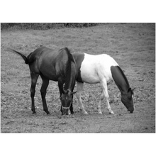 Load image into Gallery viewer, Two Horses - Professional Prints
