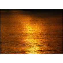Load image into Gallery viewer, Golden Sun On The Water - Professional Prints
