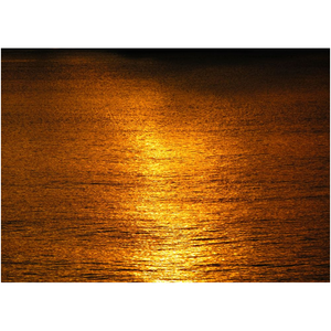 Golden Sun On The Water - Professional Prints