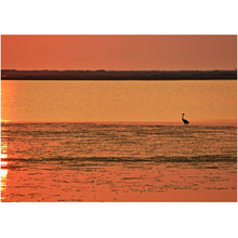 Load image into Gallery viewer, Egret Enjoying The Sunrise - Professional Prints
