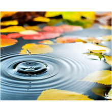 Load image into Gallery viewer, Lake Waterdrop - Professional Prints
