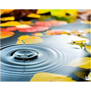 Lake Waterdrop - Professional Prints