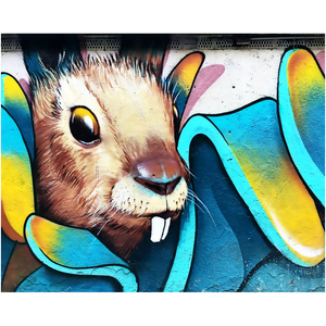 Bunny Street Art - Professional Prints