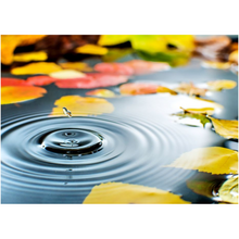 Load image into Gallery viewer, Lake Waterdrop - Professional Prints
