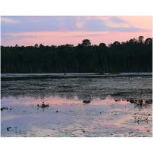Load image into Gallery viewer, Pink Sunset - Professional Prints
