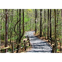 Load image into Gallery viewer, Forrest Walkway - Professional Prints
