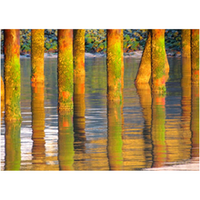 Load image into Gallery viewer, Green Pier Posts - Professional Prints
