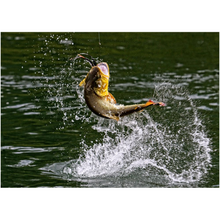 Load image into Gallery viewer, Splashing Fish - Professional Prints
