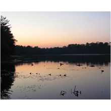 Load image into Gallery viewer, Misty Lake Sunset - Professional Prints
