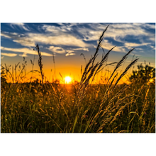 Load image into Gallery viewer, Open Field Sunset - Professional Prints
