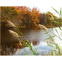 Load image into Gallery viewer, Autumn Lake Feel - Professional Prints
