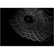 Load image into Gallery viewer, Dark Spider Web - Professional Prints
