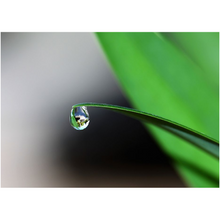 Load image into Gallery viewer, Waterdrop - Professional Prints

