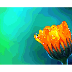 Flower With Waterdrops - Professional Prints
