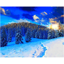 Load image into Gallery viewer, Mountain Snow - Professional Prints
