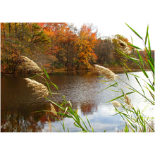 Load image into Gallery viewer, Autumn Lake Feel - Professional Prints
