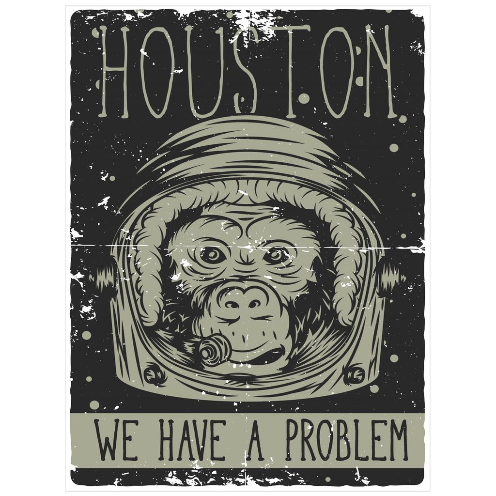 Houston We Have A Problem - Posters