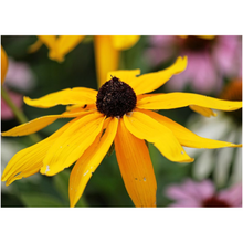 Load image into Gallery viewer, Yellow Flower - Professional Prints
