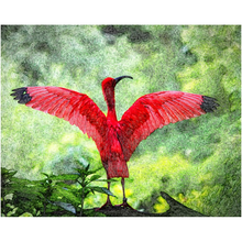 Load image into Gallery viewer, Pink Flamingo - Professional Prints

