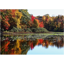 Load image into Gallery viewer, Autumn Trees On The Lake - Professional Prints
