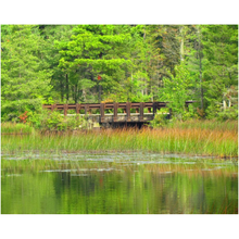 Load image into Gallery viewer, Old Lake Bridge - Professional Prints
