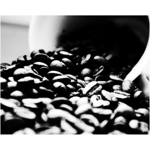 Spilled Coffee Beans - Professional Prints