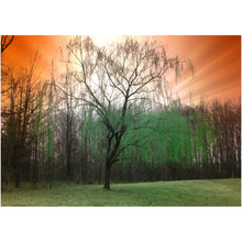 Load image into Gallery viewer, Mystical Tree - Professional Prints
