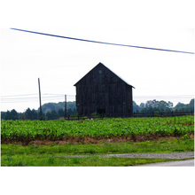 Load image into Gallery viewer, Old Barn - Professional Prints
