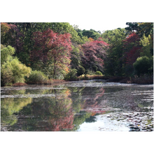 Load image into Gallery viewer, Fall Reflections On The Lake - Professional Prints
