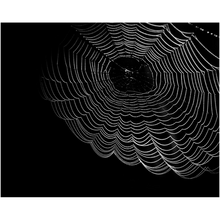 Load image into Gallery viewer, Dark Spider Web - Professional Prints
