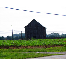 Load image into Gallery viewer, Old Barn - Professional Prints
